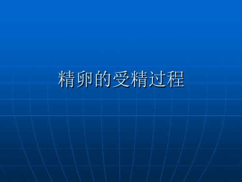 精卵受精过程