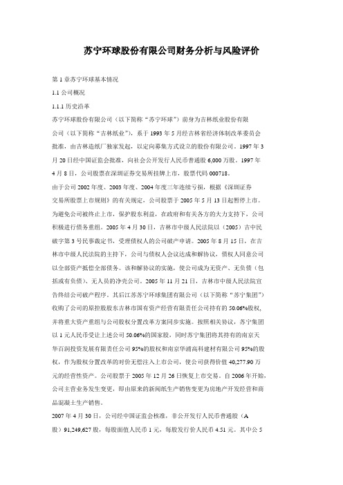 苏宁环球股份有限公司财务分析与风险评价