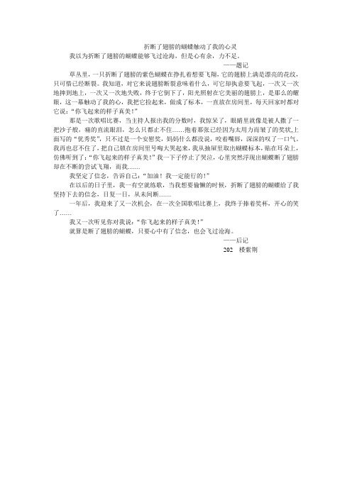 折断了翅膀的蝴蝶触动了我的心灵