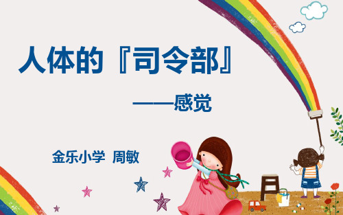 五年级下册科学感觉课件