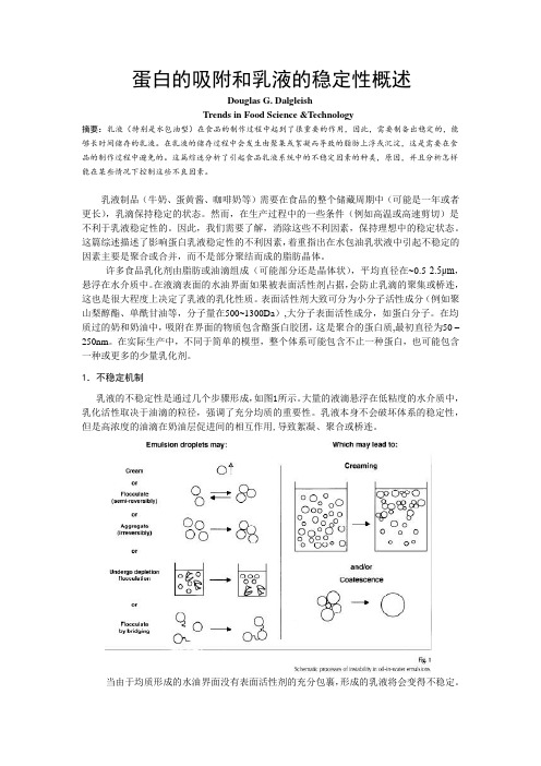 蛋白的吸附和乳液的稳定性概述