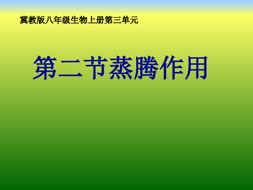 3.4.2 蒸腾作用 课件-2021-2022学年冀少版生物八年级上册 