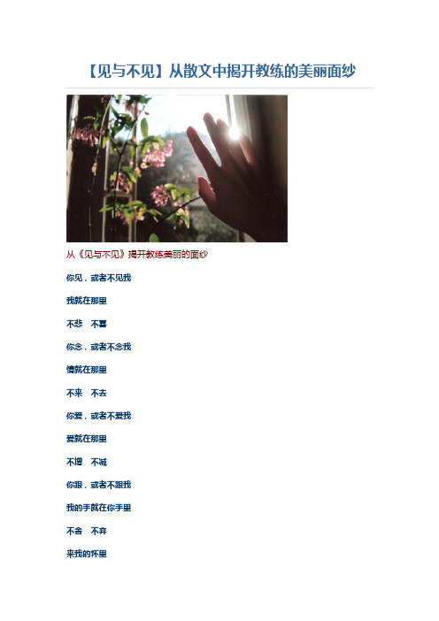 【见与不见】从散文中揭开教练的美丽面纱