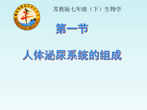 苏教版生物七下11.1《人体泌尿系统的组成》配套同步课件(共22张PPT)