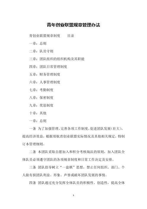 青年创业联盟规章管理办法