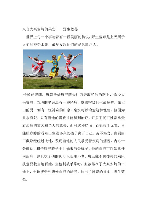 来自大兴安岭的果实——野生蓝莓