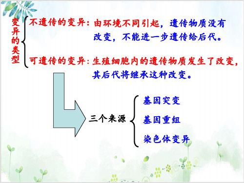 [人教版]《染色体变异》经典课件1