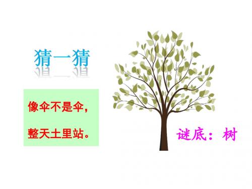 识字二树之歌