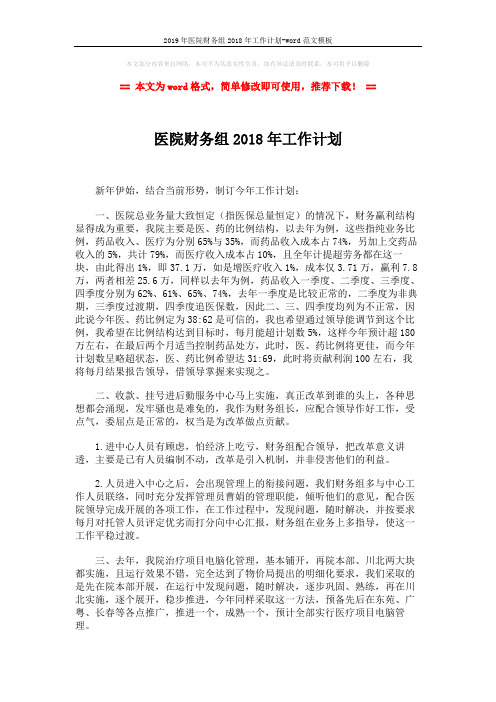 2019年医院财务组2018年工作计划-word范文模板 (2页)