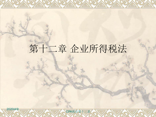 CPA第十二章.ppt