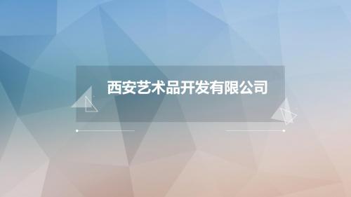 大创项目结题汇报：西安艺术品开发有限公司