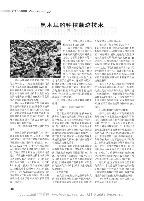 黑木耳的种植栽培技术