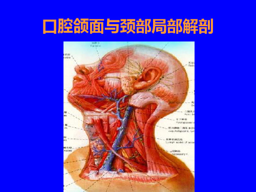 口腔颌面与颈部局1