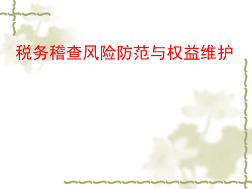 税务稽查应对及风险防范ppt课件