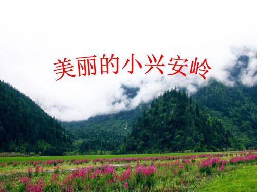 鲁教版语文三年级上册《美丽的小兴安岭》PPT课件2