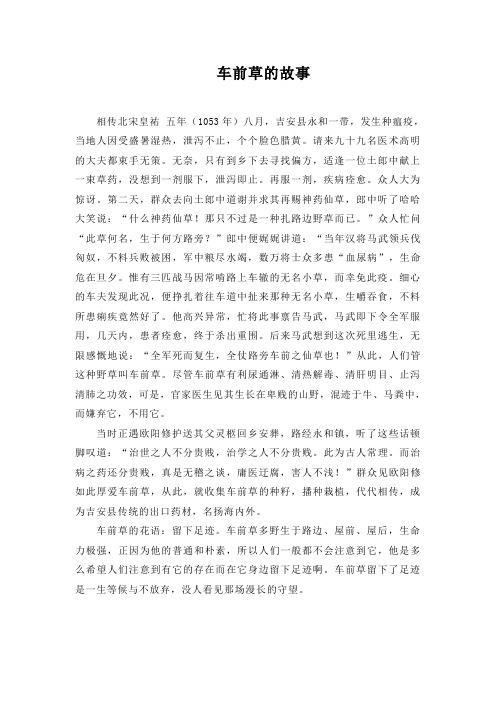 车前草的故事