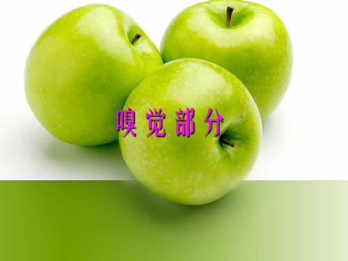 嗅觉部分.ppt
