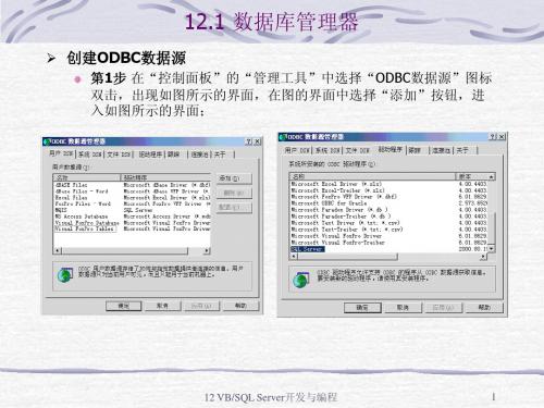 12 VB_SQL Server开发与编程