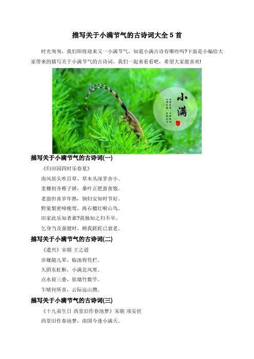 描写关于小满节气的古诗词大全5首