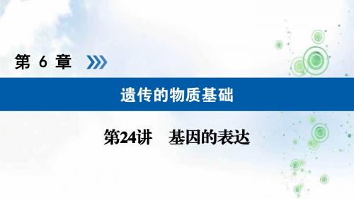 2019版高考生物大一轮优选课件：第24讲讲基因的表达