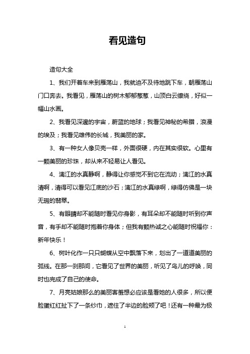 看见造句