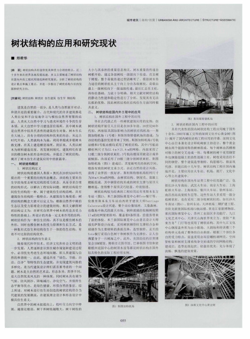 树状结构的应用和研究现状