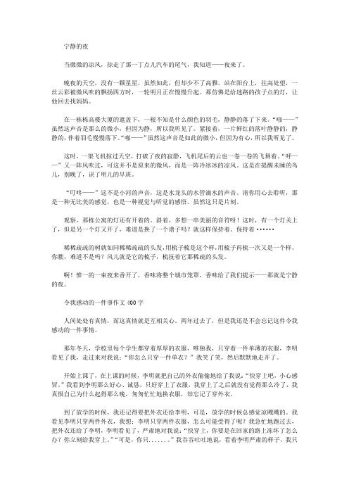 宁静的夜-专业文档!