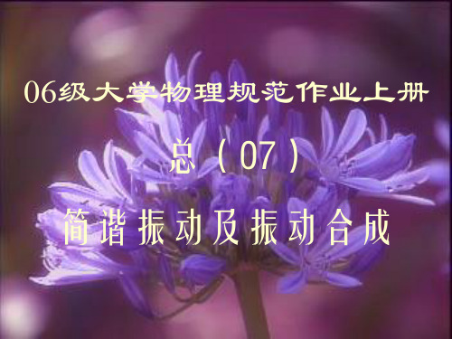10级大学物理规范作业上册07解答