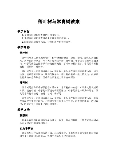落叶树与常青树教案