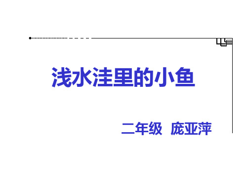28《浅水洼里的小鱼》ppt  公开课一等奖课件5