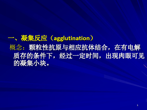 《凝集反应双扩》PPT课件