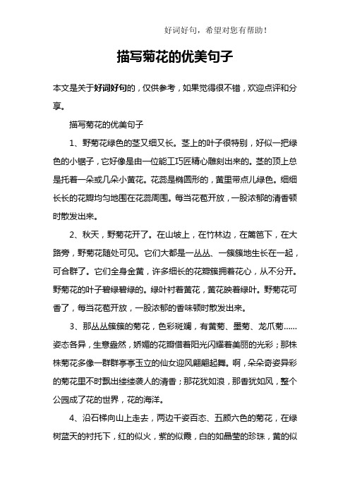 描写菊花的优美句子