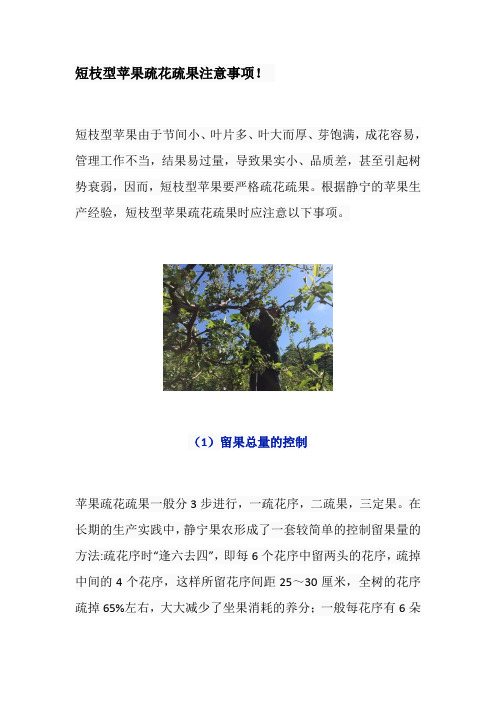 短枝型苹果疏花疏果注意事项