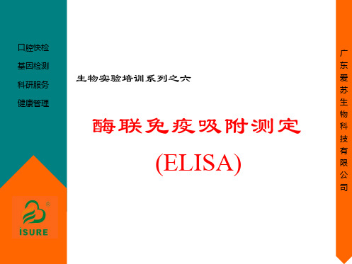 Elisa