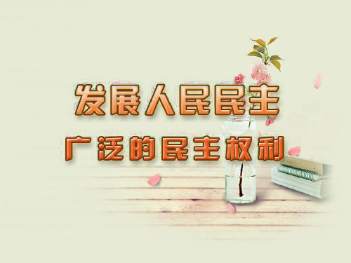 发展人民民主-广泛的民主权利PPT教学课件