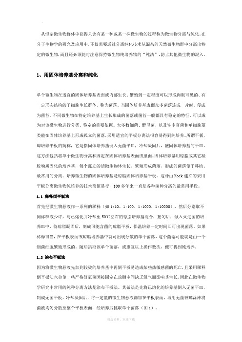 微生物菌种的分离和纯化方法