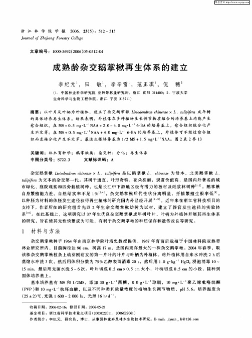 成熟龄杂交鹅掌楸再生体系的建立