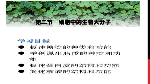2.3脂质的种类和功能