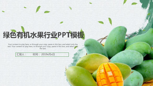 芒果推广PPT 图文