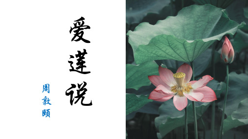 部编版七年级下《爱莲说》教学优质课件(获奖篇)