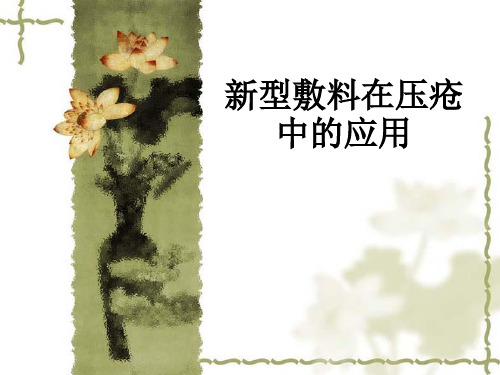 新型敷料在压疮中的应用ppt课件