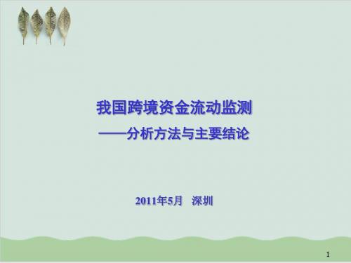我国跨境资金流动监测的分析方法与主要结论PPT课件( 53页)