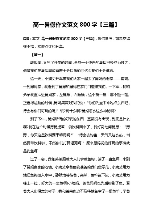 高一暑假作文范文800字【三篇】