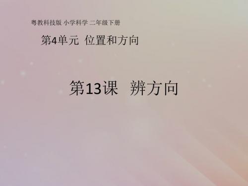 二年级科学下册第4单元位置和方向第13课《辨方向》课件(新版)粤教版