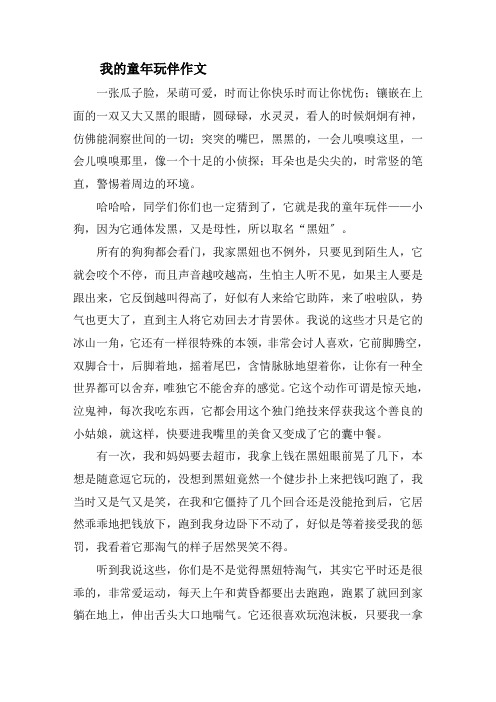 我的童年玩伴作文精选