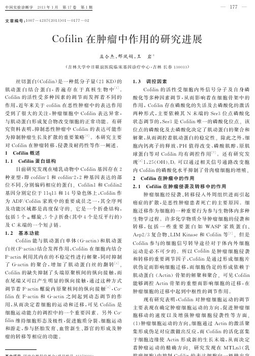 Cofilin在肿瘤中作用的研究进展
