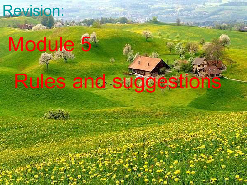 rules and suggestionsPPT教学课件