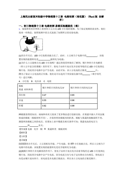 上海民办新复兴初级中学物理第十三章 电路初探(培优篇)(Word版 含解析)