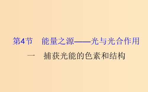 高中生物 第五章 细胞的能量供应和利用 第四节 能量之源--光与光合作用 5.4.1 新人教版必修1