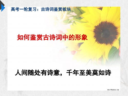 《古诗词形象赏析》课件 (19张PPT)